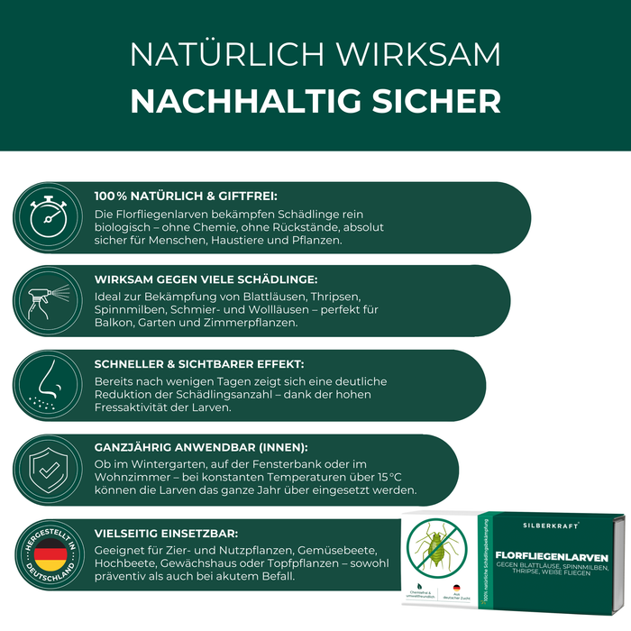 Larve di merletti contro afidi, ragni rossi, tripidi, mosche bianche