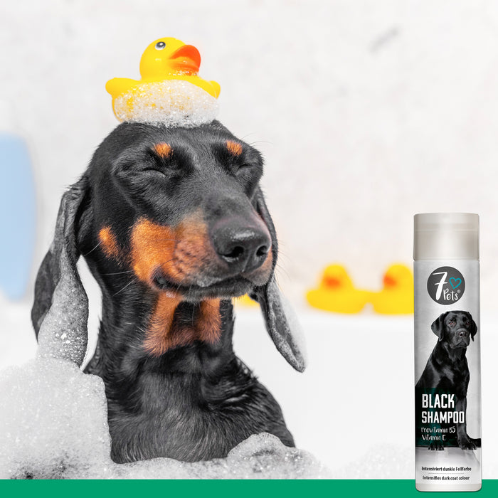 Black Shampoo - shampoo per cani per pelo di colore scuro 