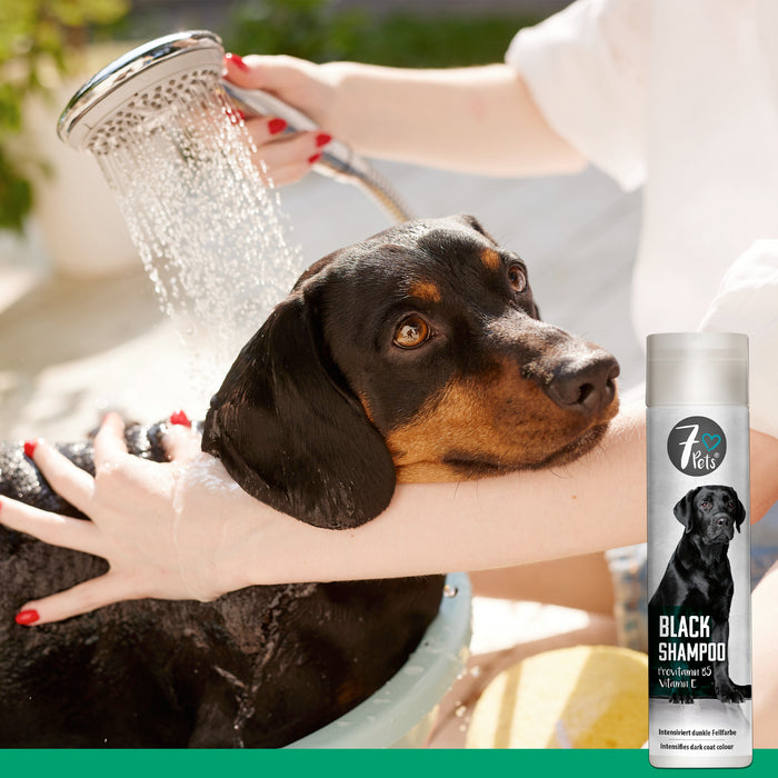 Black Shampoo - shampoo per cani per pelo di colore scuro 