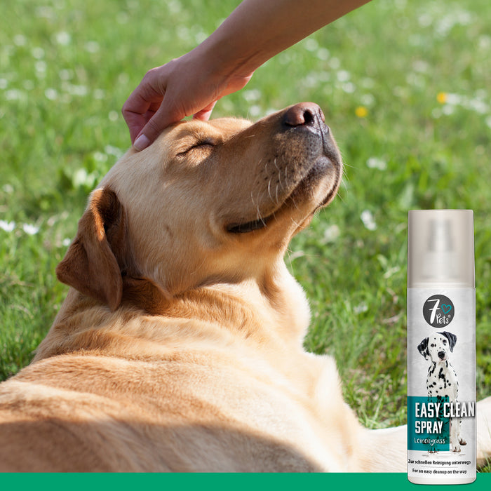 Easy Clean Spray: pulizia del cane in movimento