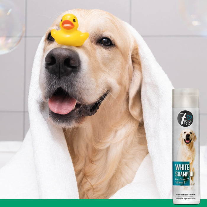 White Shampoo - shampoo per cani per manti chiari 