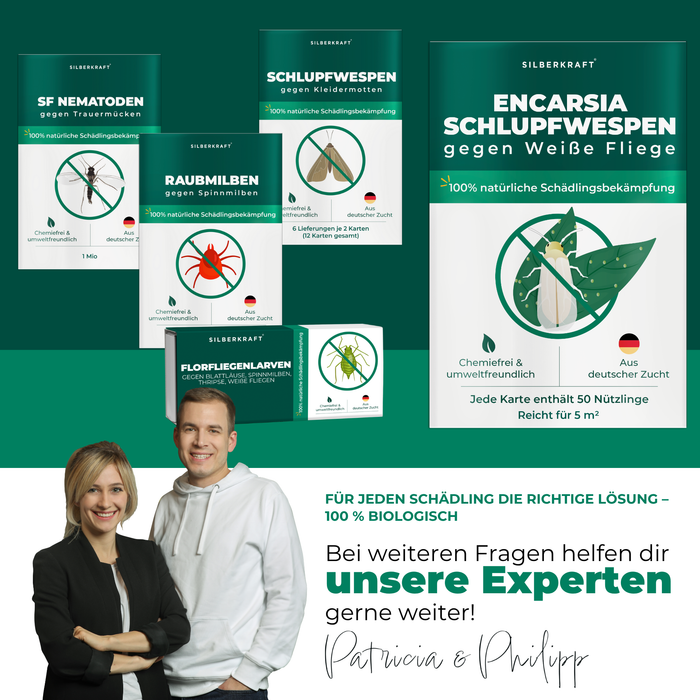 Gli esperti Patricia e Philipp si trovano davanti a vari prodotti benefici per gli insetti.