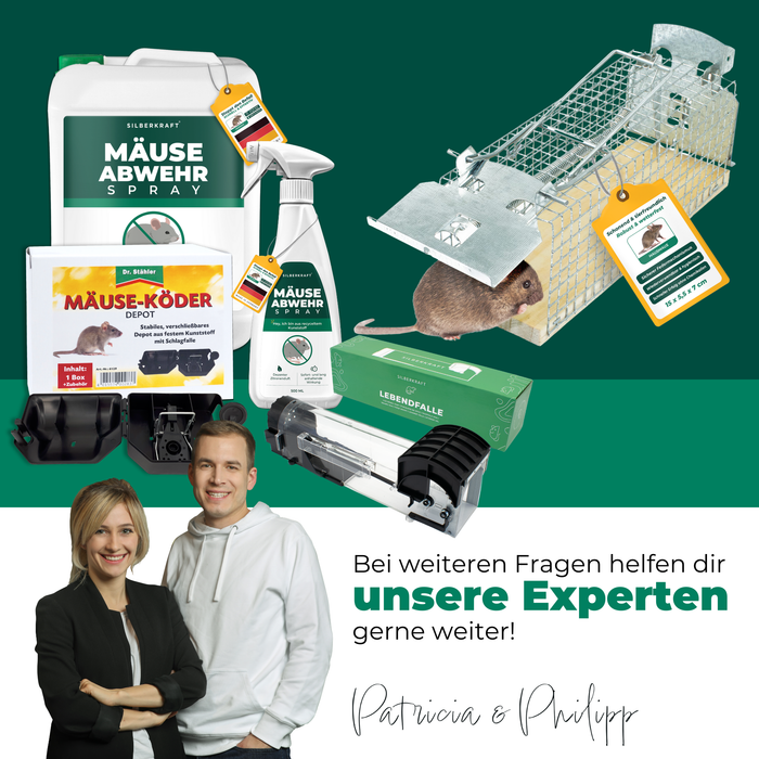 Trappola viva per topi in filo metallico - trappola per topi - alternativa adatta agli animali alle trappole a scatto e alle esche avvelenate