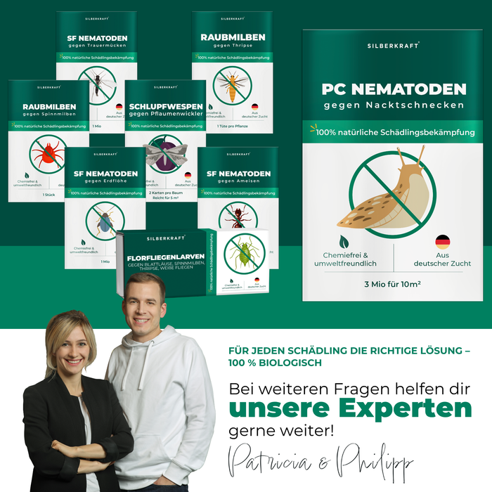 Nematodi PC contro lumache e chiocciole - Silberkraft