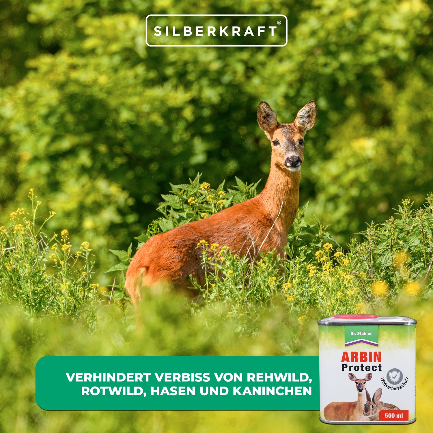 Arbin Protect: protezione contro la navigazione di alberi e cespugli