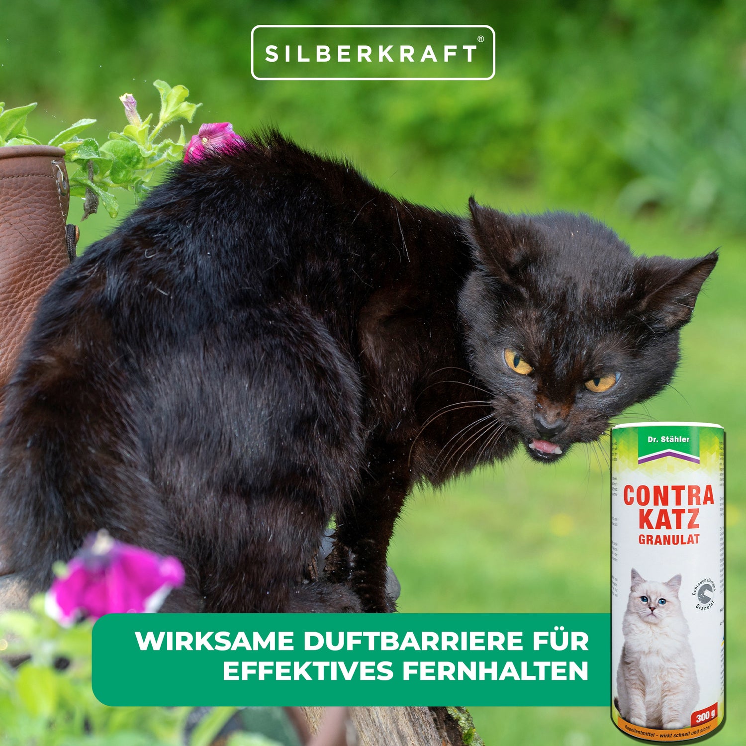 Maggiori informazioni