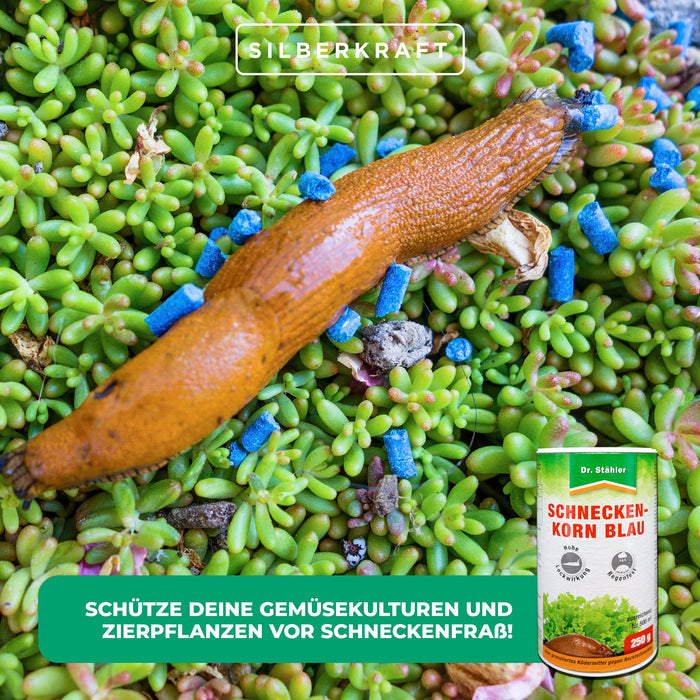 Pellet di lumache blu: protettivo repellente per lumache per piante da giardino