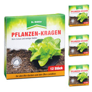 Collare affidabile per piante: controllo senza insetticidi della mosca del cavolo