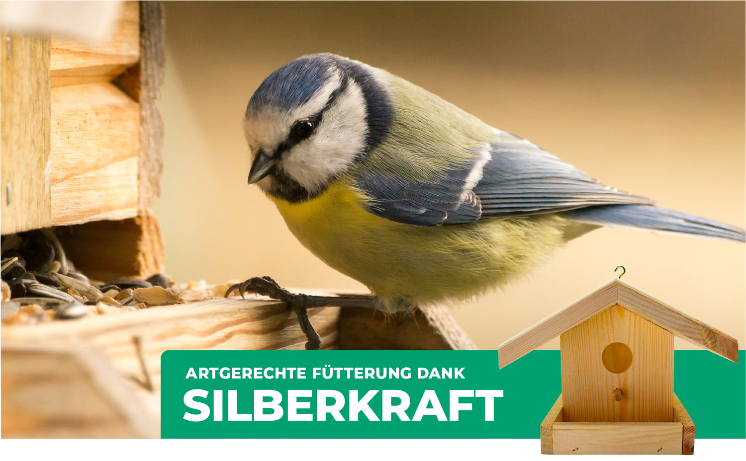 Maggiori informazioni