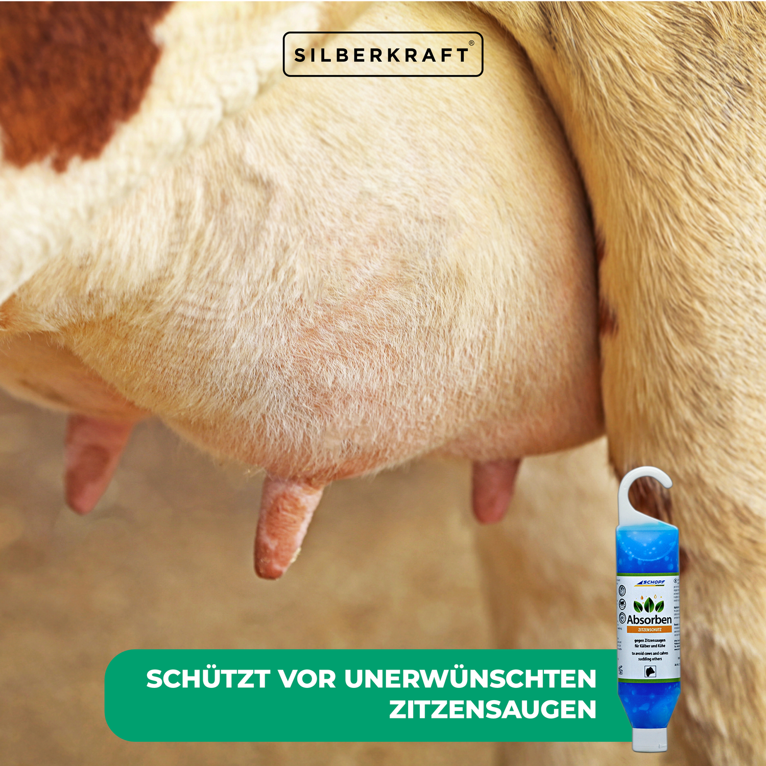 Absorben: gel per la cura della mammella contro la suzione dal capezzolo per vitelli e mucche
