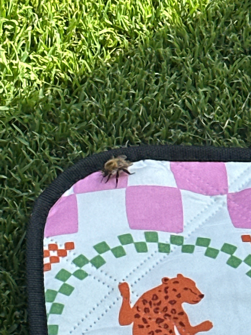 Un bombo dei prati siede su una coperta a motivi nell'erba. L'insetto è chiaramente visibile.