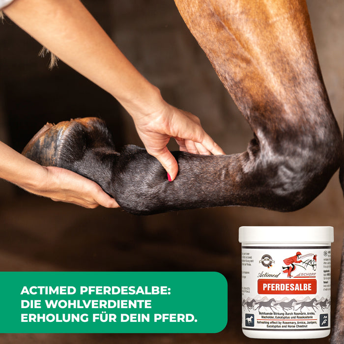 Unguento per cavalli attivato con arnica: cura rinfrescante per i muscoli del cavallo stressati