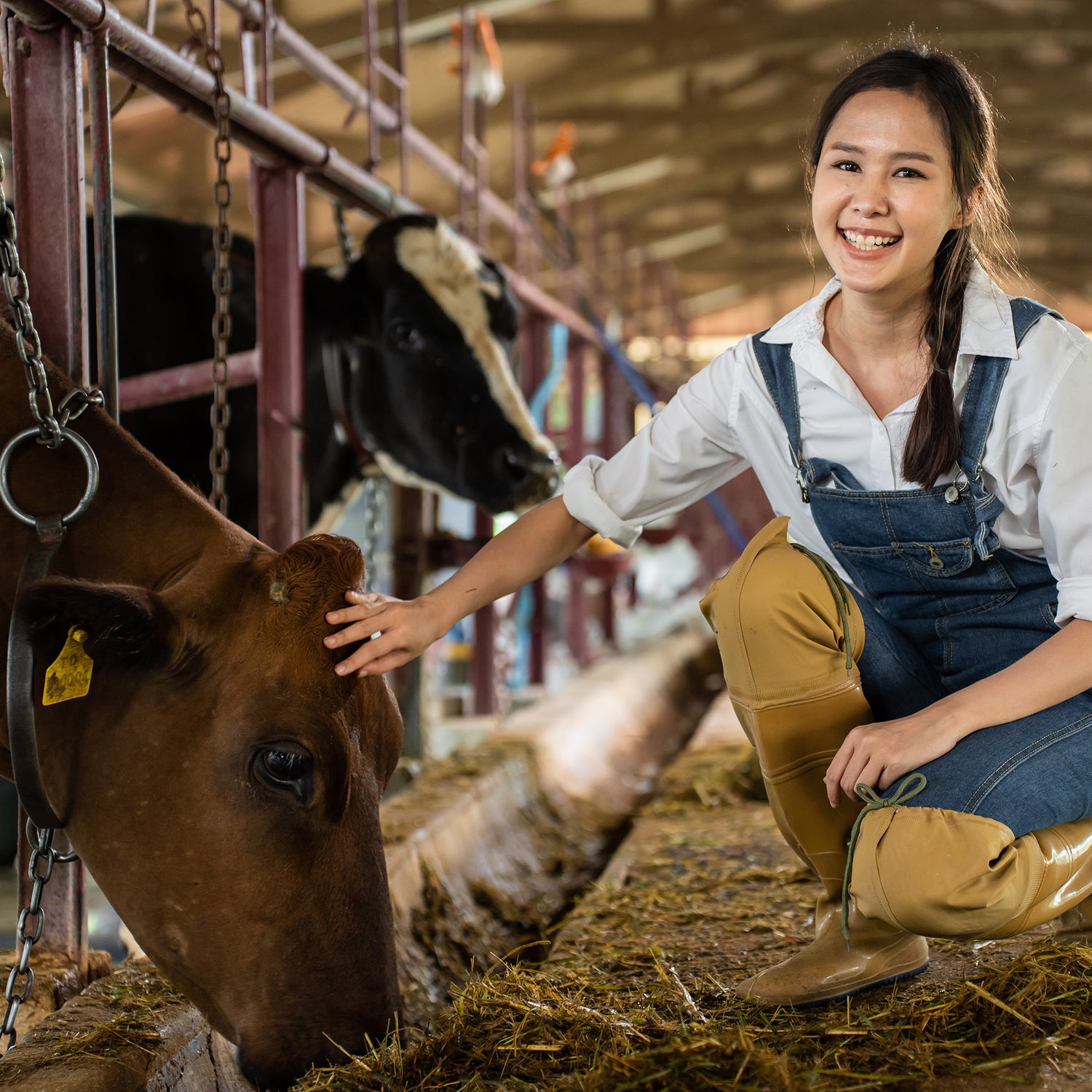 Maggiori informazioni