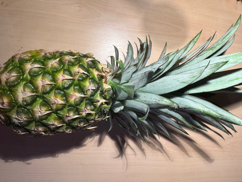 ananas — foto 3 di 11