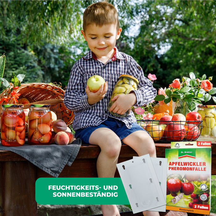 Trappola a feromoni per carpocapsa: protezione efficace per gli alberi da frutto