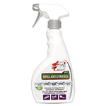 Spray per coda e criniera Brillante per crine di cavallo lucente - Silberkraft