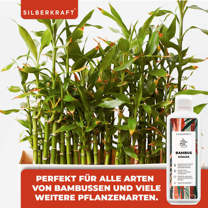 Fertilizzante per bambù - Fertilizzante liquido minerale NPK con azoto - Fertilizzante per bambù - Fertilizzazione del bambù