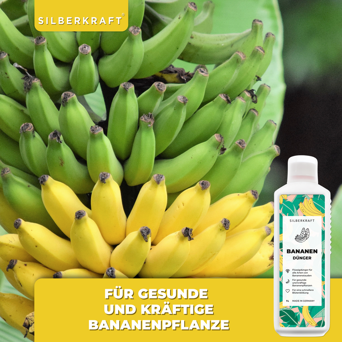 Fertilizzante per banane - Fertilizzante liquido minerale NPK con azoto - Fertilizzante per banane