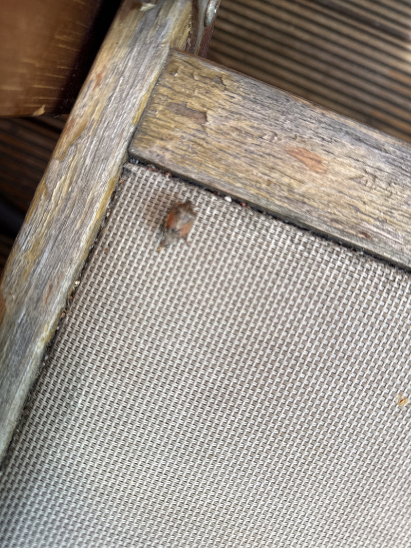 Una piccola cimice dei frutti siede sulla superficie in tessuto di una sedia. Il soggetto è molto piccolo e poco nitido.