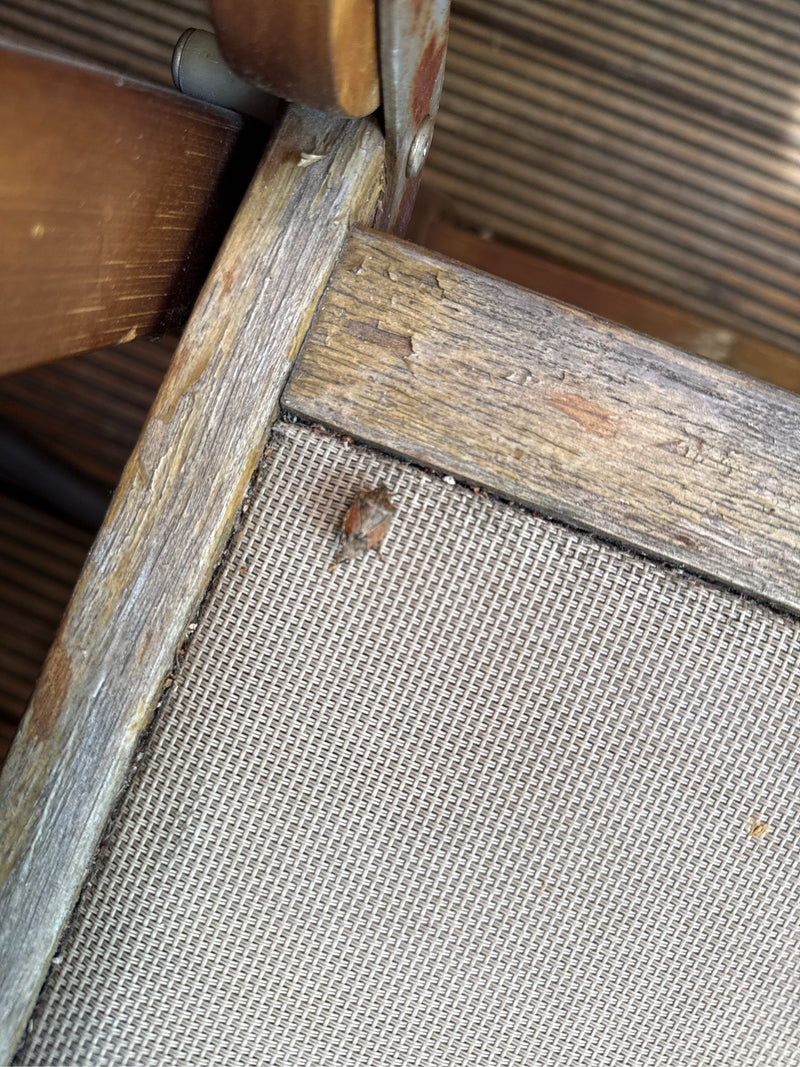 L'immagine mostra una cimice delle bacche che riposa sul rivestimento in tessuto di un mobile da giardino in legno. L'insetto è ripreso dall'alto.