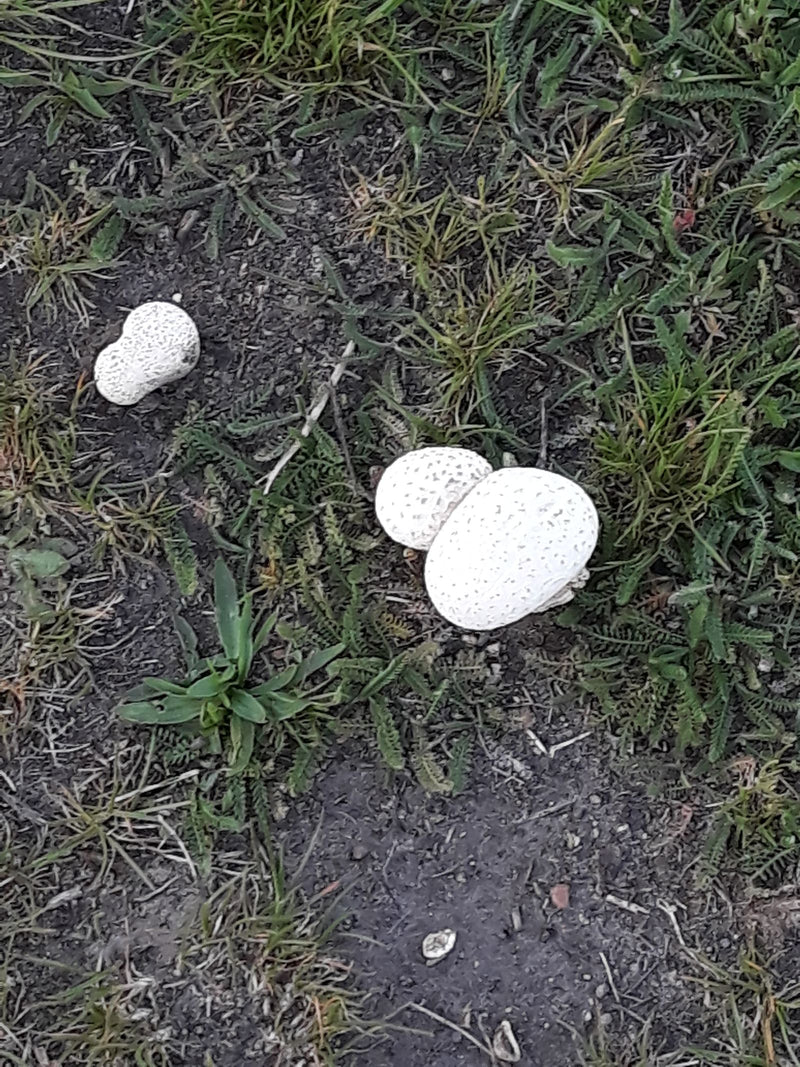 Polvere di piombo — Bild 1