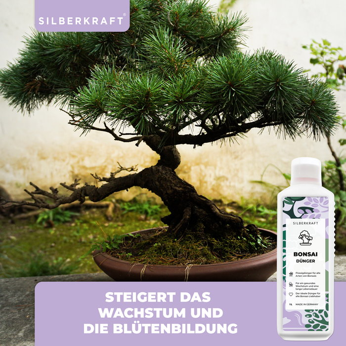 Fertilizzante per bonsai - Fertilizzante liquido minerale NPK con azoto - Fertilizzante per bonsai - Fertilizzante per bonsai Ficus
