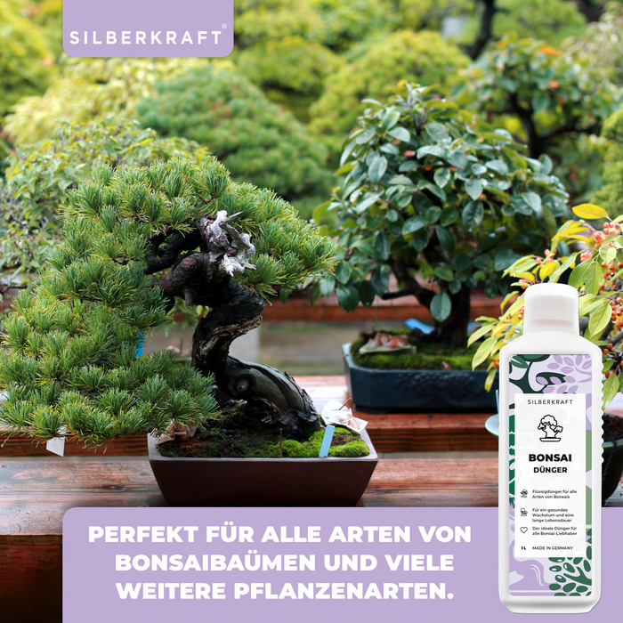 Fertilizzante per bonsai - Fertilizzante liquido minerale NPK con azoto - Fertilizzante per bonsai - Fertilizzante per bonsai Ficus