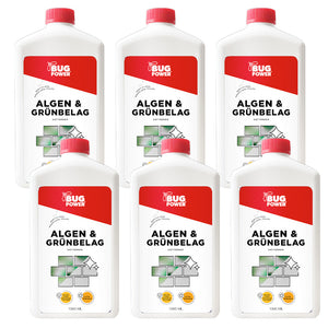 Profi Algen und Grünbelag Entferner - Flüssigkonzentrat für die Reinigung von Steintreppen & Fließen - für verschiedenste Oberfläche geeignet - Silberkraft