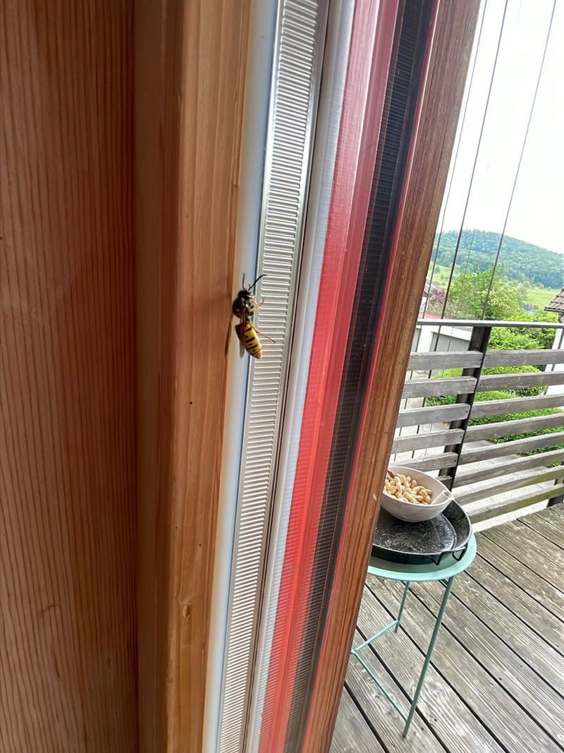 Una vespa germanica è seduta sul telaio di una porta-finestra. Sfondo con balcone in legno e paesaggio verde.