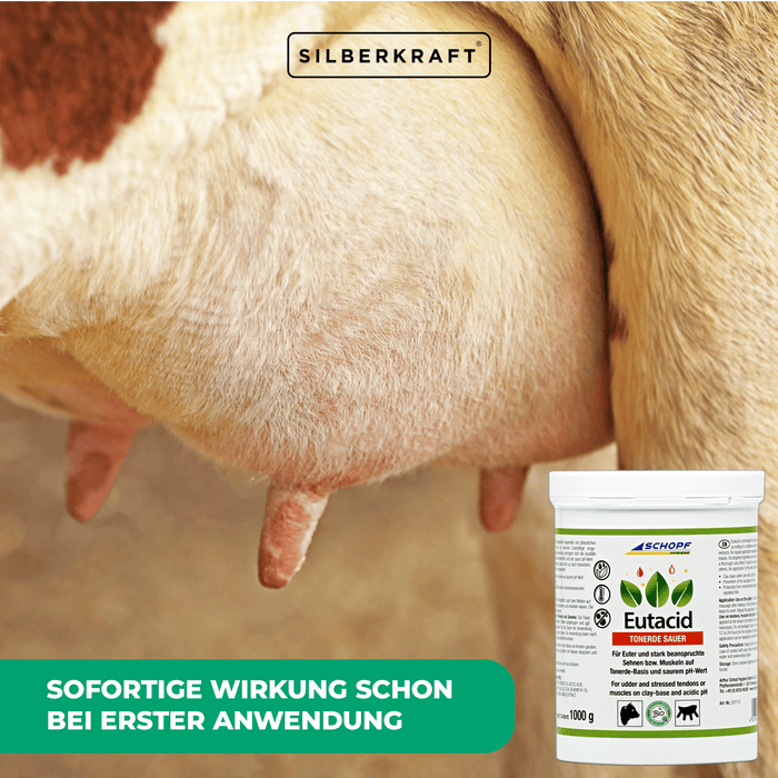 Balsamo all'argilla eutacida: cura versatile delle mucche per mammelle e articolazioni