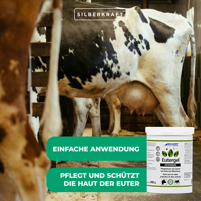 Gel mammella verde: balsamo protettivo per mucche