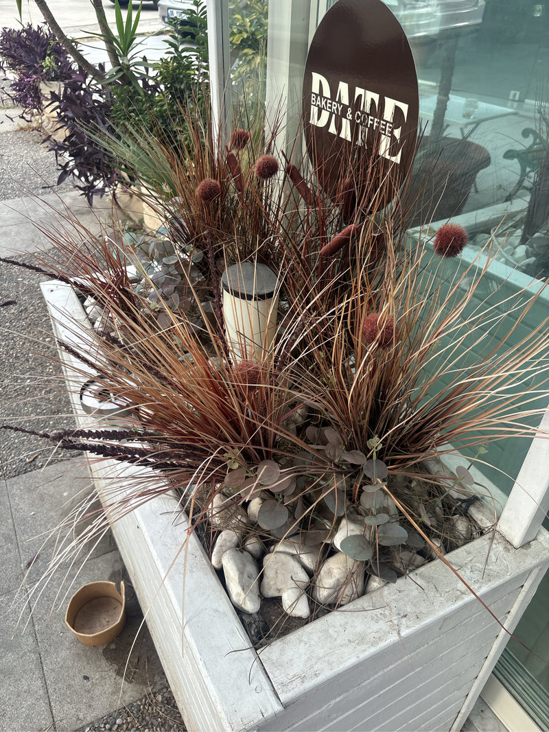 Erbe di piume — Bild 5