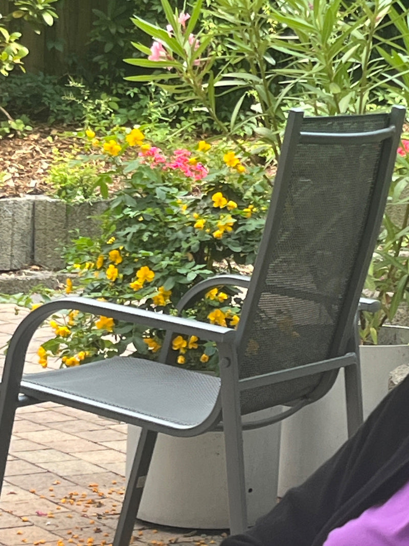 sullo sfondo si vede un arbusto in fiore con fiori gialli in un giardino. Una sedia da giardino grigia è visibile in primo piano.