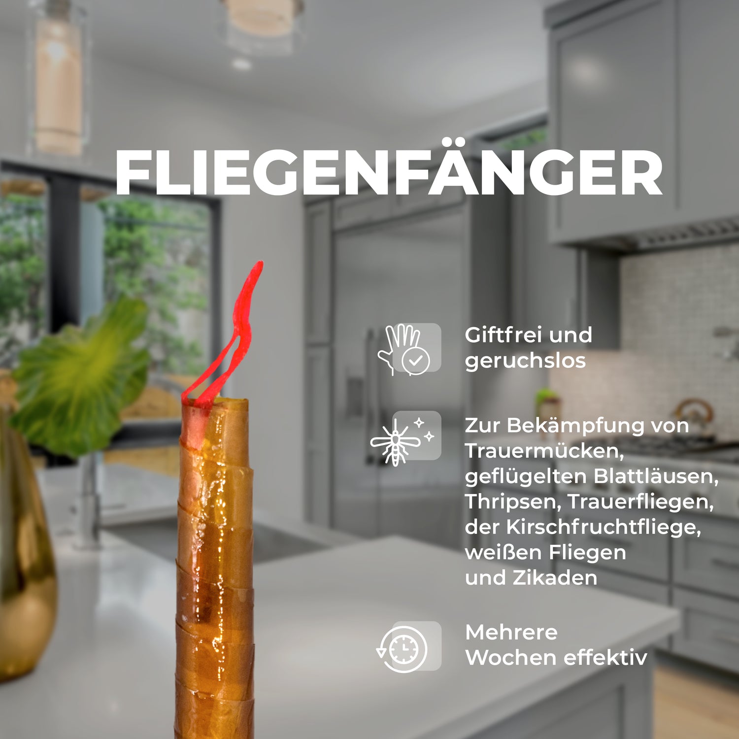 Maggiori informazioni