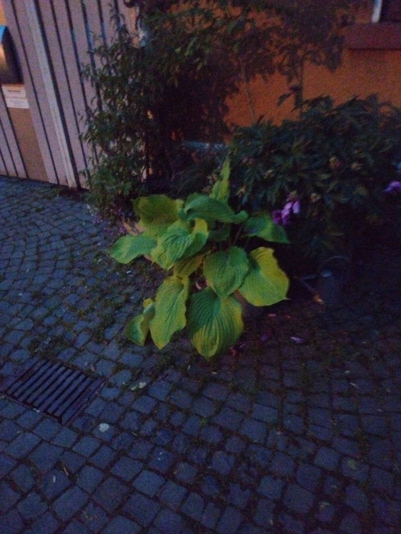 Funky — Bild 2