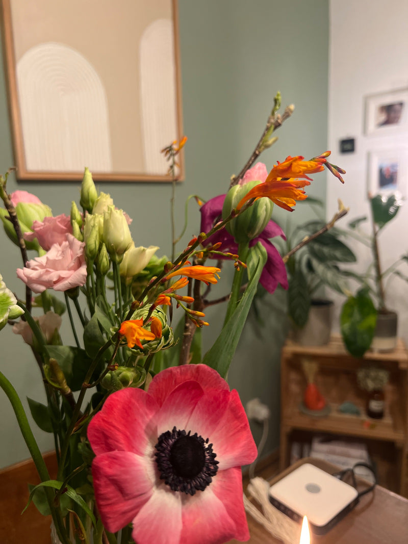 In primo piano è visibile il fiore aperto di un'anemone coronaria con petali rosa-bianchi e un centro scuro. Fa parte di un mazzo di fiori recisi in un ambie...