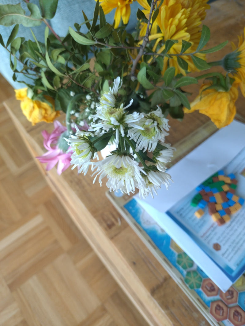 Crisantemo da giardino — Bild 1