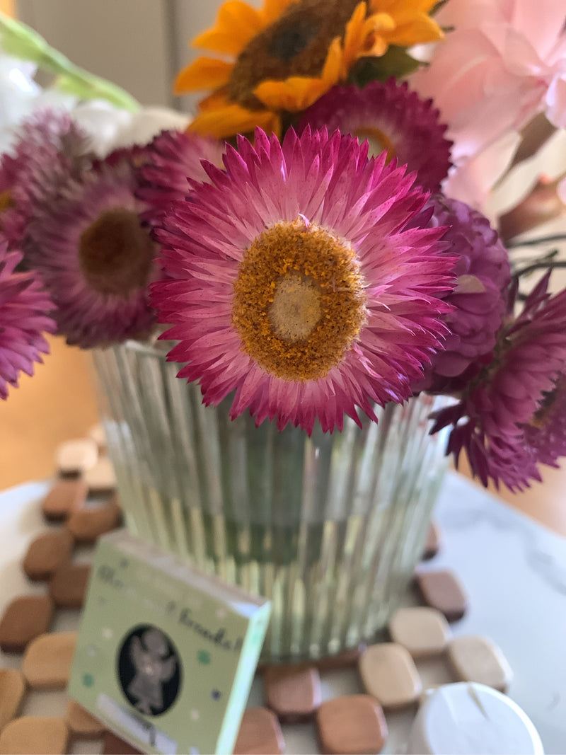 Fiore di paglia da giardino — Bild 1