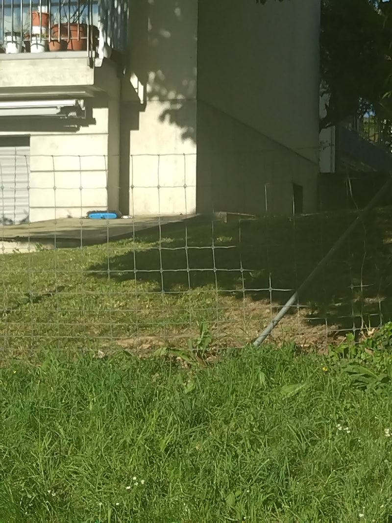Ragno da giardino — Bild 1