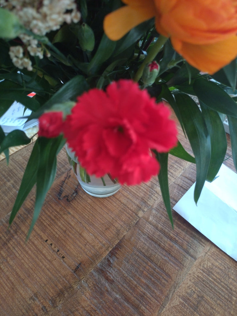 Garofano — Bild 1