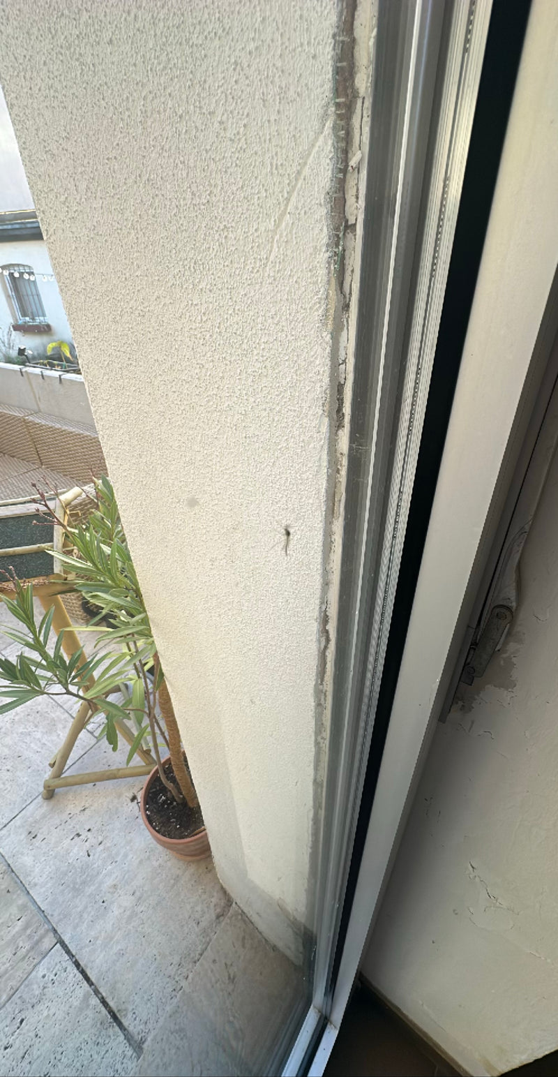 Una zanzara comune si trova su una parete intonacata chiara accanto a una finestra. L'insetto è piccolo ma riconoscibile.