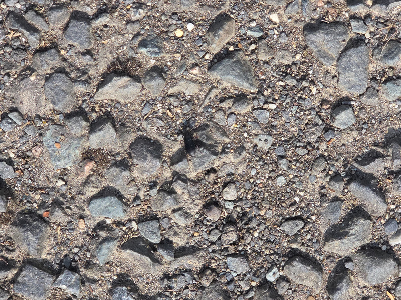 Un comune scarabeo di terra nero è seduto su un fondo pietroso, visto dall'alto.