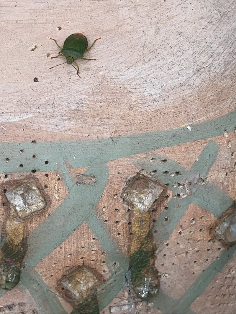 Una ninfa di cimice verde si trova su una superficie strutturata e decorata. L'insetto è chiaramente visibile.