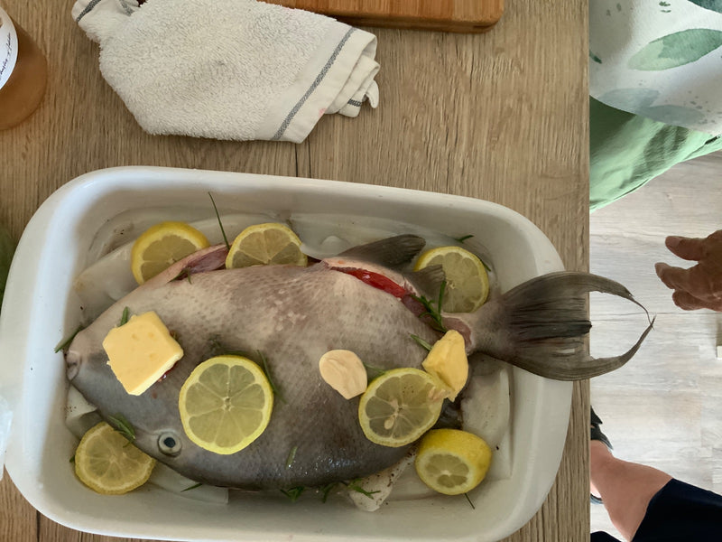 Pesce balestra grigio — Bild 2