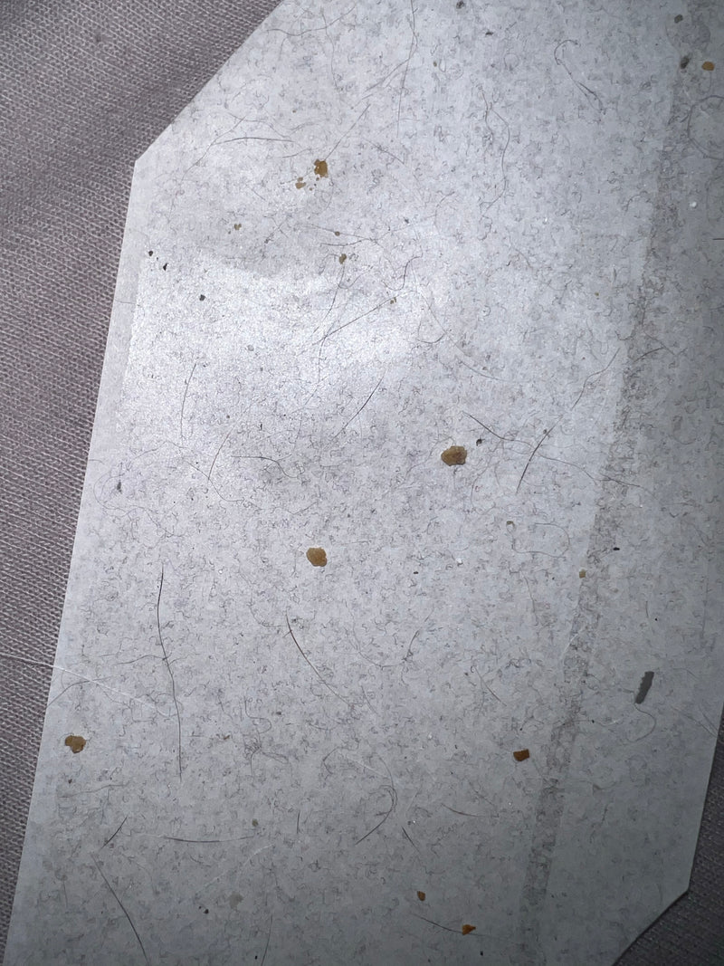 Acaro della polvere domestica europeo — Bild 1
