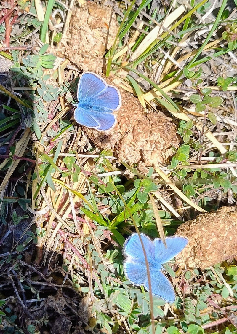 Blu cielo blu — Bild 1