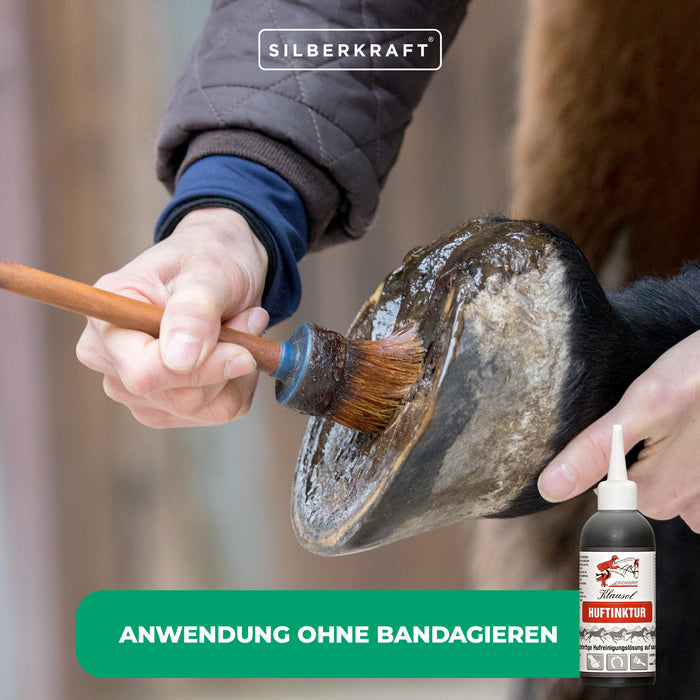 Tintura per zoccoli per cavalli: aiuto immediato in caso di problemi acuti agli zoccoli