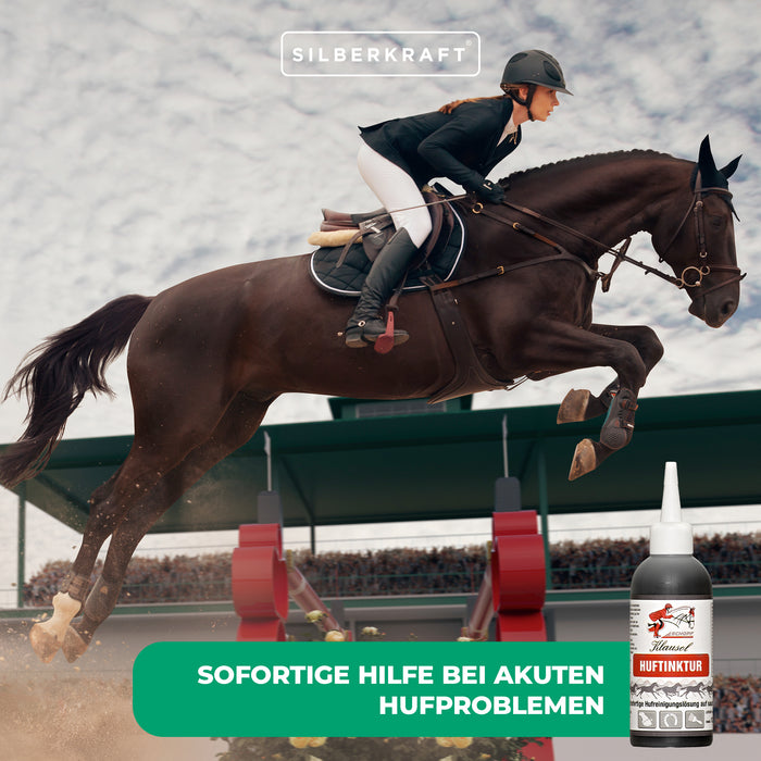 Tintura per zoccoli per cavalli: aiuto immediato in caso di problemi acuti agli zoccoli