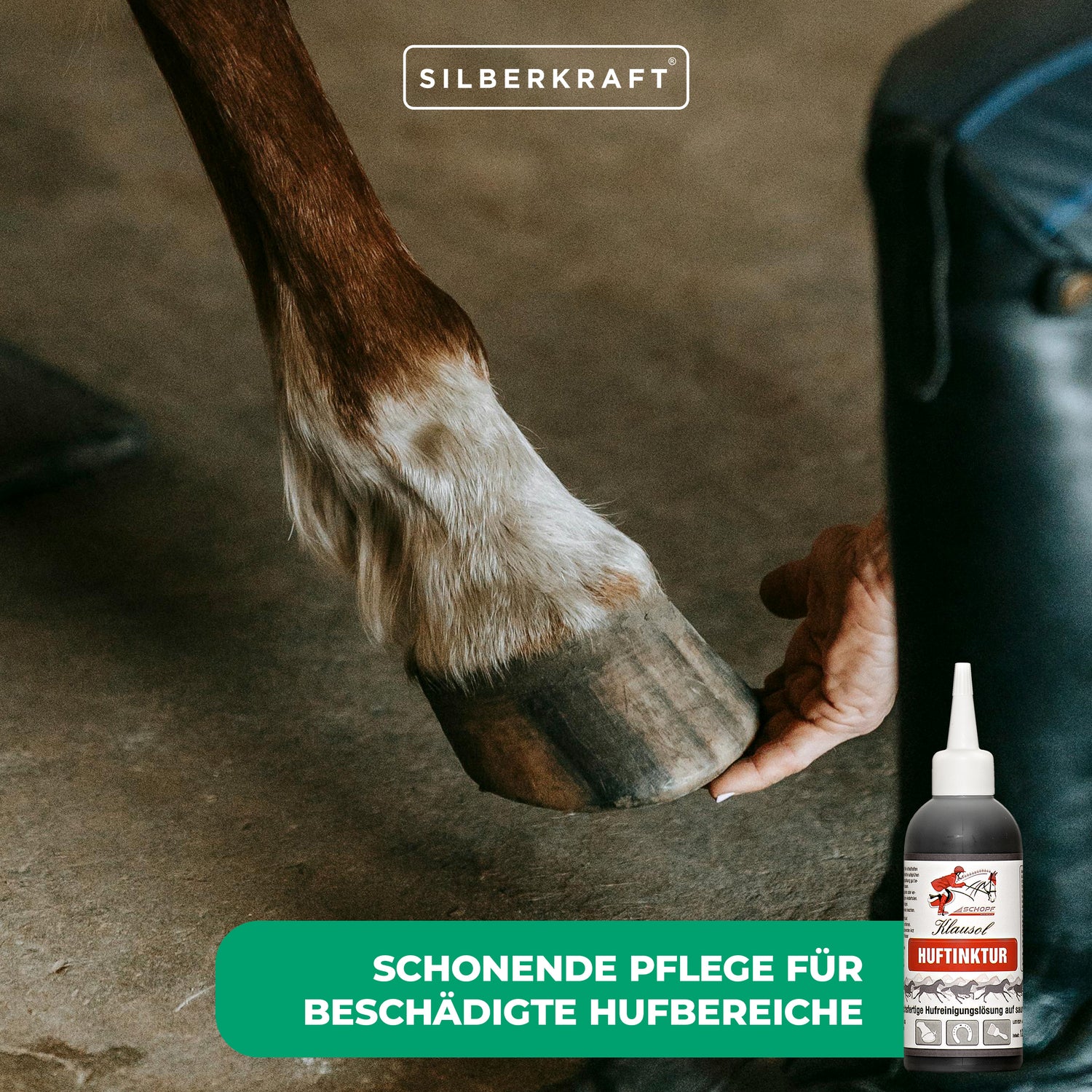 Tintura per zoccoli per cavalli: aiuto immediato in caso di problemi acuti agli zoccoli
