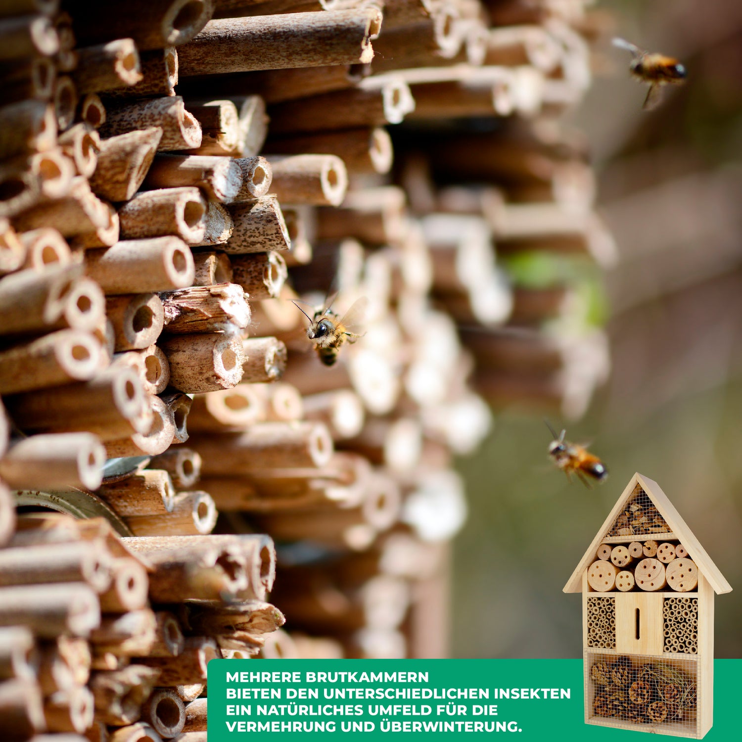 Maggiori informazioni